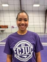 Ashley Dienes, Coach